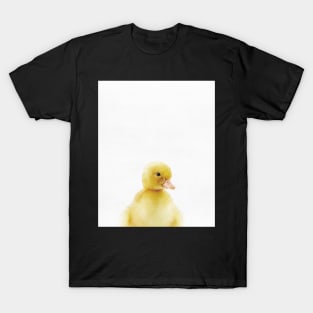 Baby Duck, Nursery, Animal, Kids room, Modern art, Wall decor T-Shirt